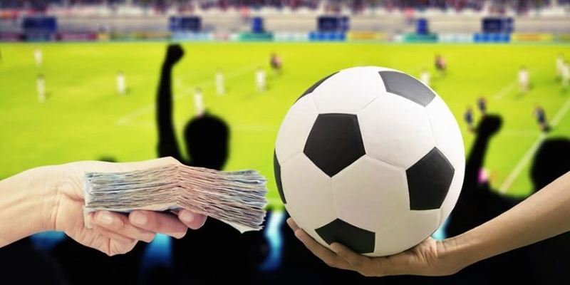 Các Loại Kèo Cược Trong Bóng Đá 88 Net