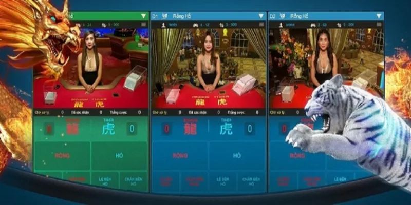 Cần Lưu Ý Gì Khi Chơi Rồng Hổ Net88
