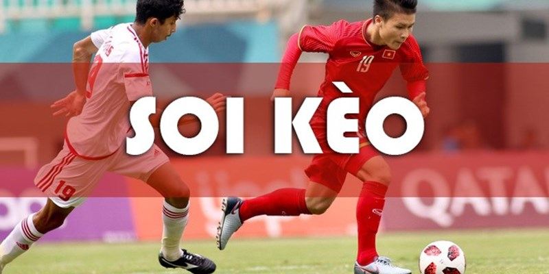 Kinh nghiệm thực chiến từ cao thủ tại Net88