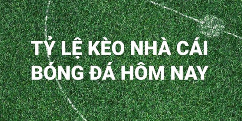 Phân tích tỷ lệ kèo và chiến lược cá cược hiệu quả