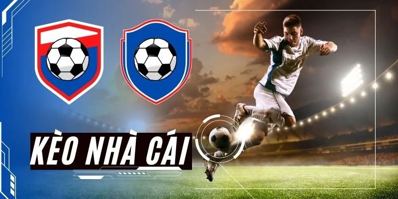 Tổng quan về kèo nhà cái tại Net88