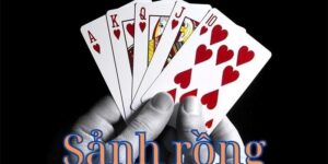 Tổng quan về sanhrong trong hệ sinh thái Net88