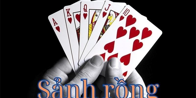 Tổng quan về sanhrong trong hệ sinh thái Net88