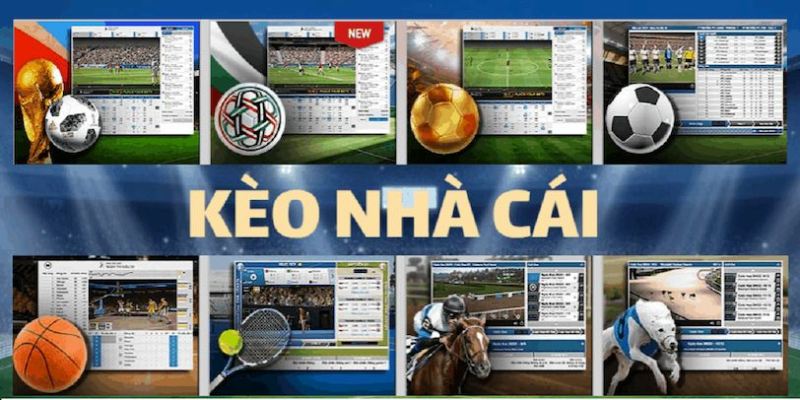 Ưu điểm khi tham gia cá cược tại Net88